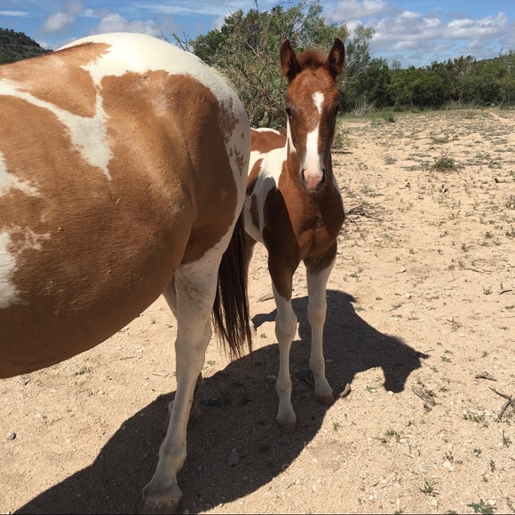 Meet your Posher, Linda - Picture 10 of 11